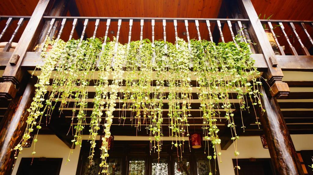 Lijiang Wangjia Courtyard Inn Zewnętrze zdjęcie